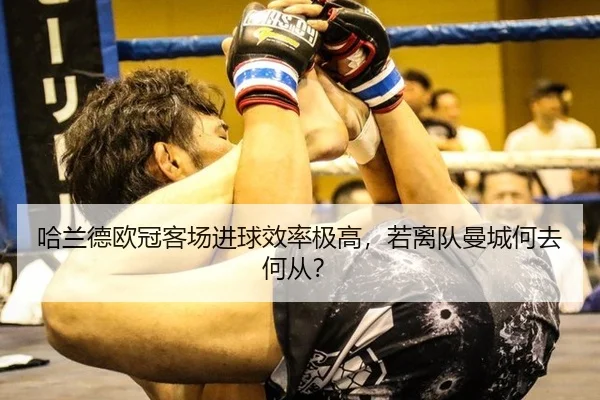 ha-lan-de-ou-guan-ke-chang-jin-qiu-xiao-lv-ji-gao-ruo-li-dui-man-cheng-he-qu-he-cong-2-240.jpg